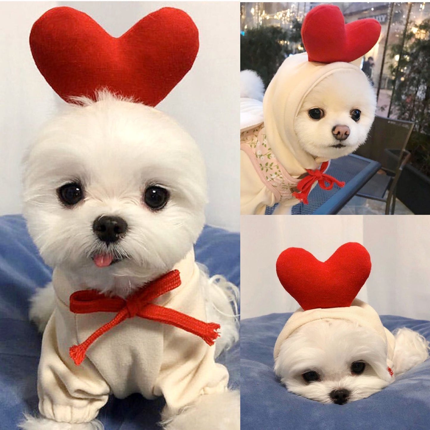 Cute Fruit Dog Clothes For Small Dogs Hoodies Winter Warm Fleece Pet Clothing Puppy Cat Costume Coat For French Chihuahua Outfit - OnlyAttire
